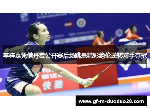 李梓嘉凭借丹麦公开赛后场跳杀精彩绝伦逆转对手夺冠