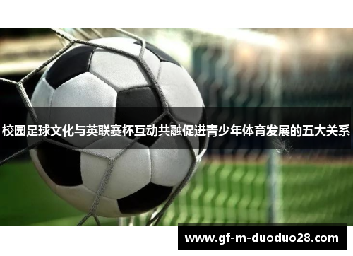 校园足球文化与英联赛杯互动共融促进青少年体育发展的五大关系 校园足球文化与英联赛杯互动共融促进青少年体育发展的五大关系