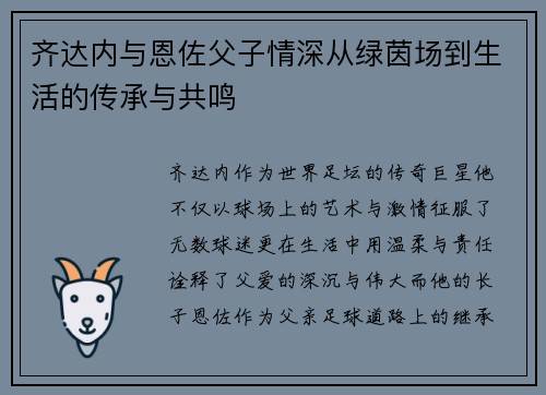 齐达内与恩佐父子情深从绿茵场到生活的传承与共鸣