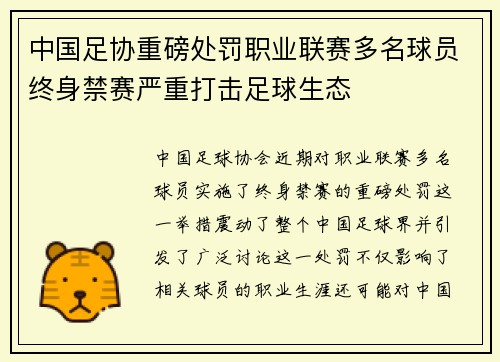 中国足协重磅处罚职业联赛多名球员终身禁赛严重打击足球生态
